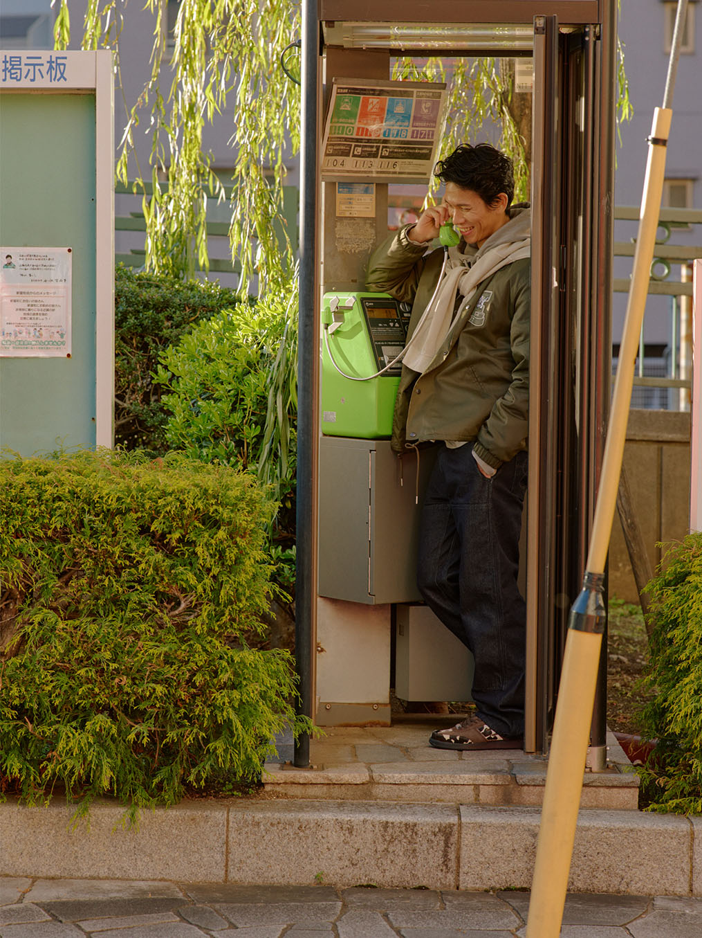 Santos (Milk Cow/Brown)