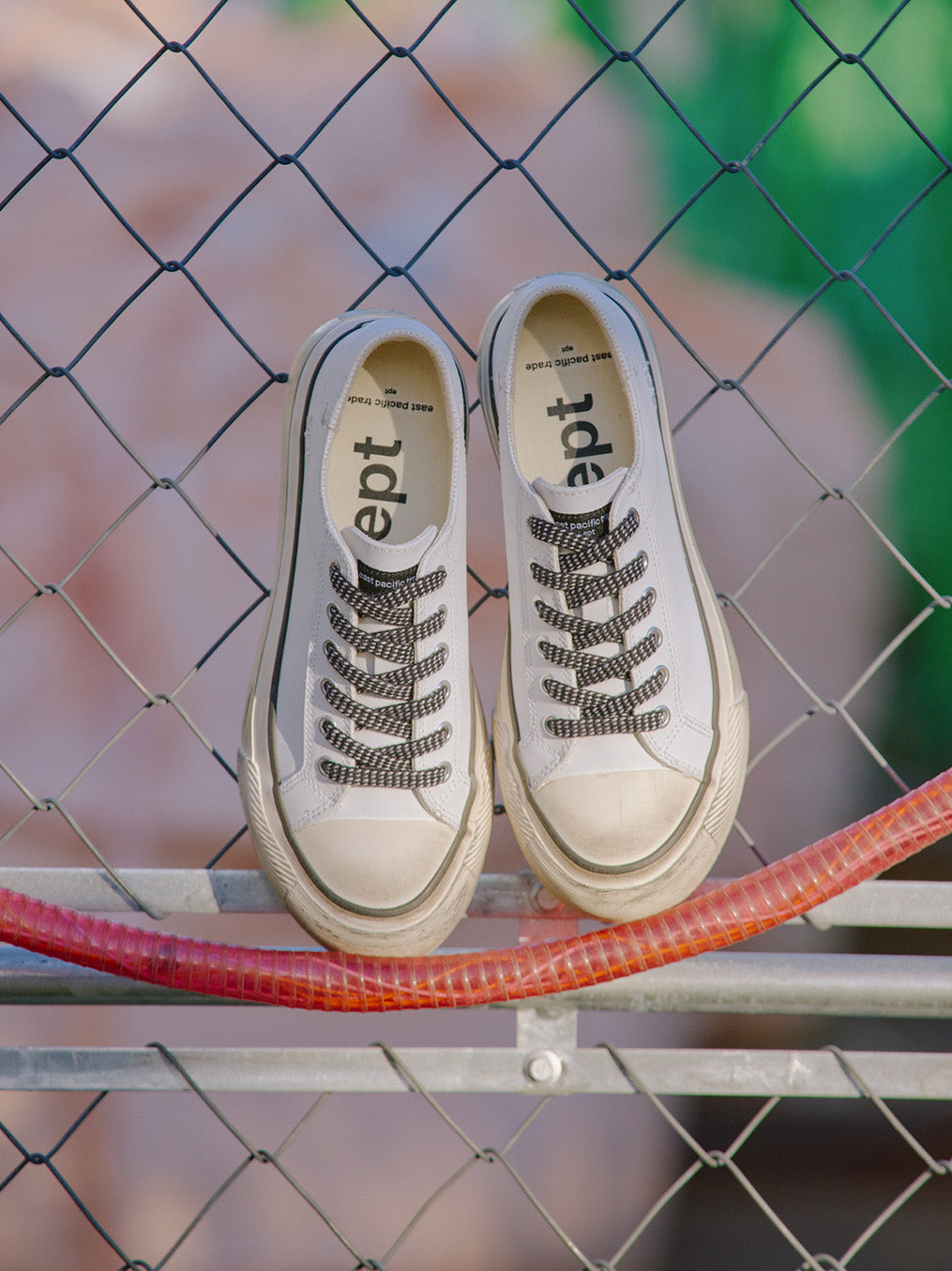 Dive Vntg LE (Off White)