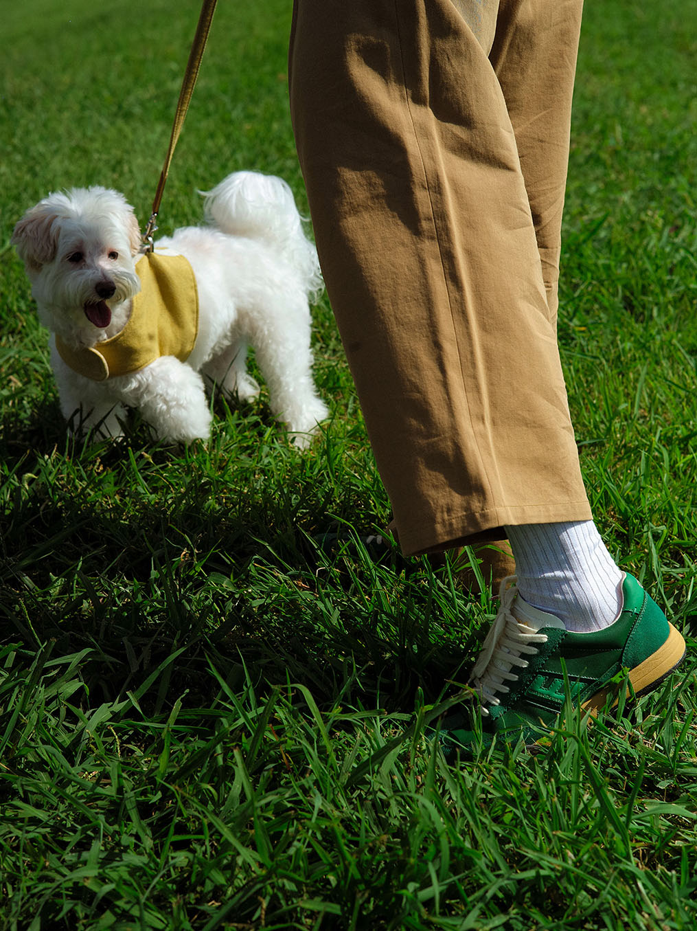 Diego (Green/D.Green)