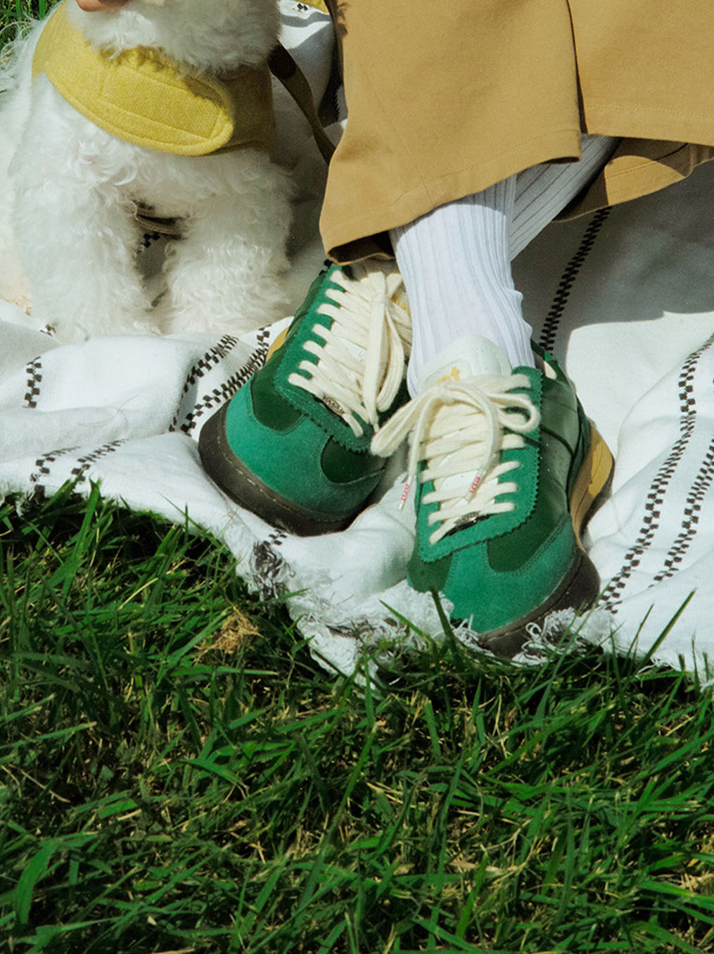 Diego (Green/D.Green)