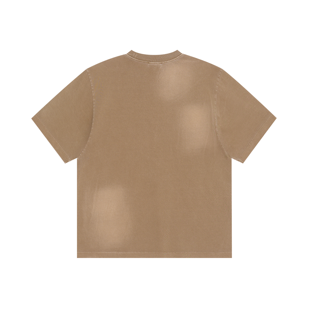 Classic Logo Washed T-Shirt (Brown)