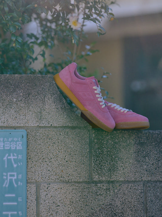 Diego (Pink)