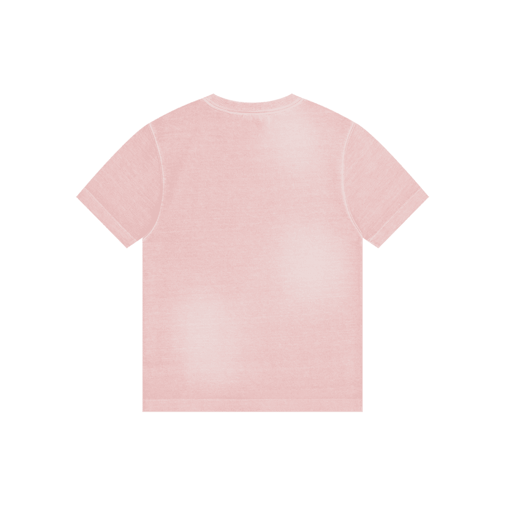 Classic Logo Washed T-Shirt (Pink)