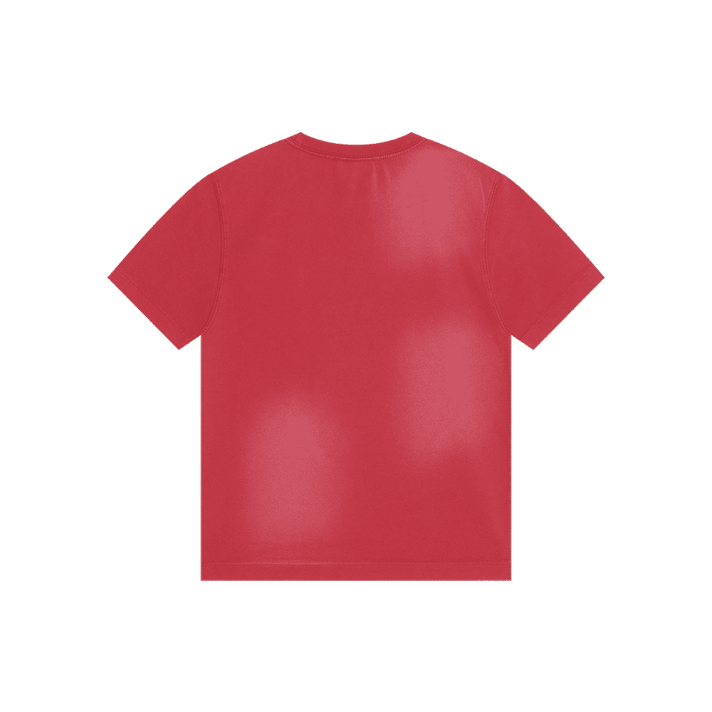 Classic Logo Washed T-Shirt (Red)
