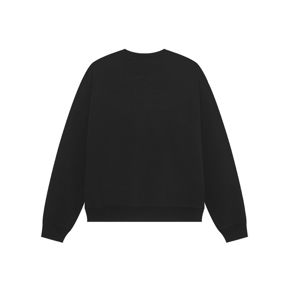 Triangle Flag Sweat Shirt (Black)